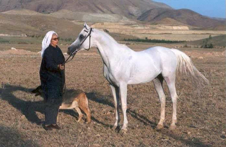 Mary Leili Gharagozlou with one of her favourite asil mares. Foto: Iran Asil Association